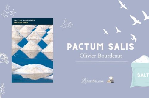 Illustration pour présenter le livre "Pactum Salis" d'Olivier Bourdeaut
