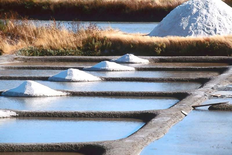 guerande_marais_salants - Pactum Salis livre d'Olivier Bourdeaut