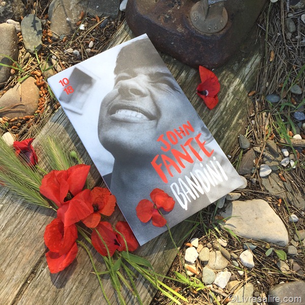 Livre "Bandini" de John Fante posé sur un ponton avec des coquelicots