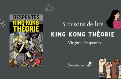 Illustration pour présenter les 5 raisons de lire "King Kong théorie de Virginie Despentes