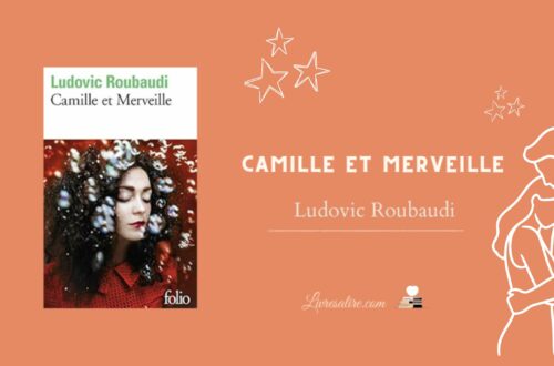 Illustration pour présenter le livre Camille et Merveille de Ludovic Roubaudi
