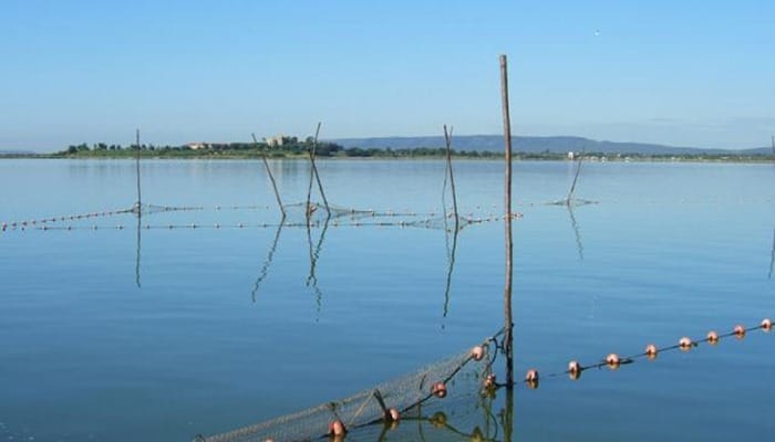 Etang des Moures