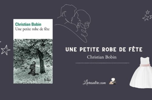 Illustration pour présenter le livre "Une petite robe de fête" de Christian Bobin
