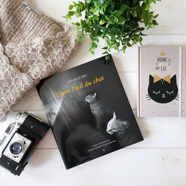 Dans l'oeil du chat - Mélani Le Bris livresalire (1) Dans l'oeil du chat - Mélani Le Bris livresalire (1)