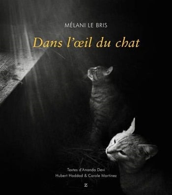 Mélani Le Bris -Dans l'oeil du chat Mélani Le Bris -Dans l'oeil du chat