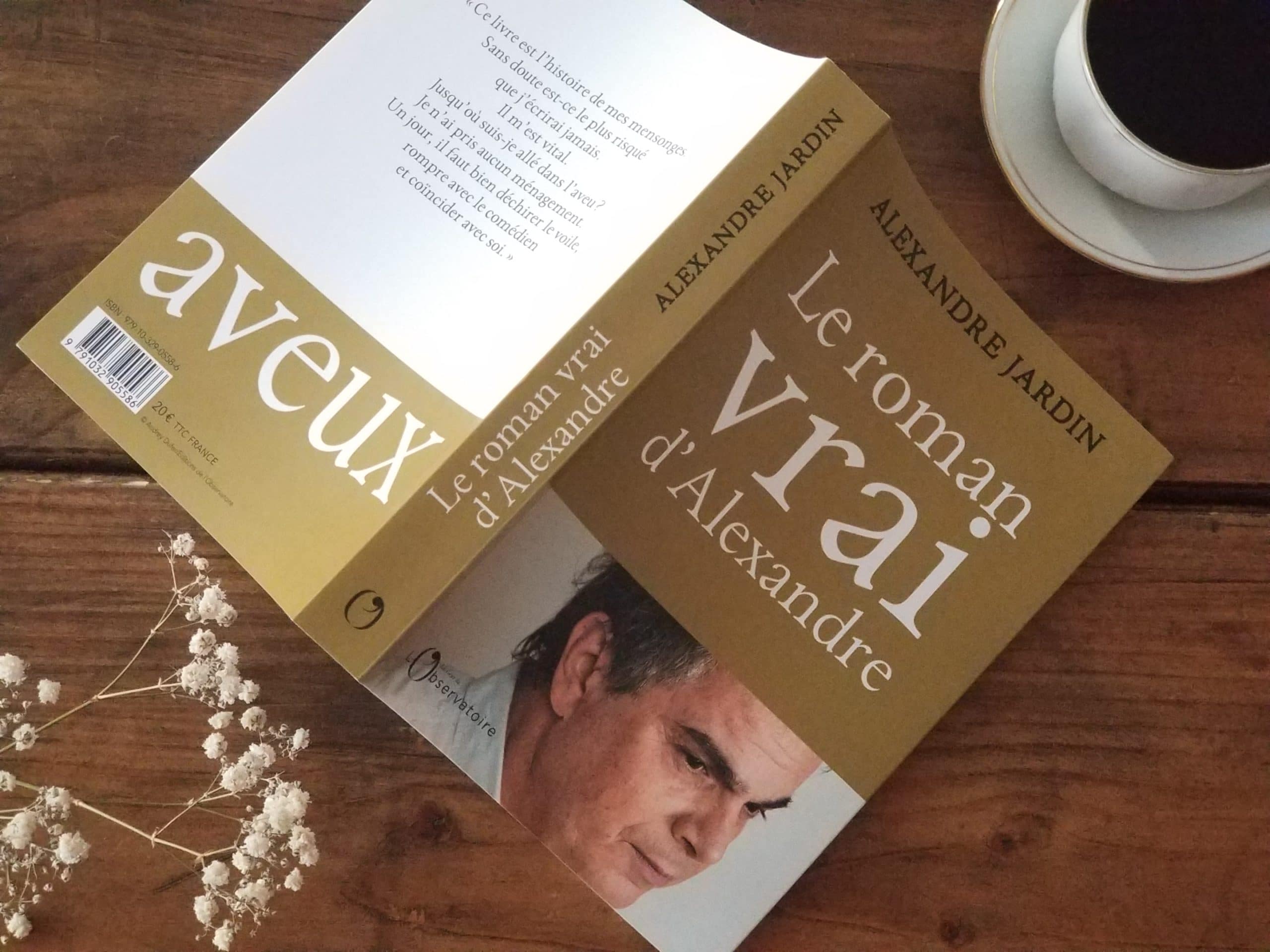 Le vrai roman d'Alexandre - Alexandre jardin - Blog littéraire - Livres à lire
