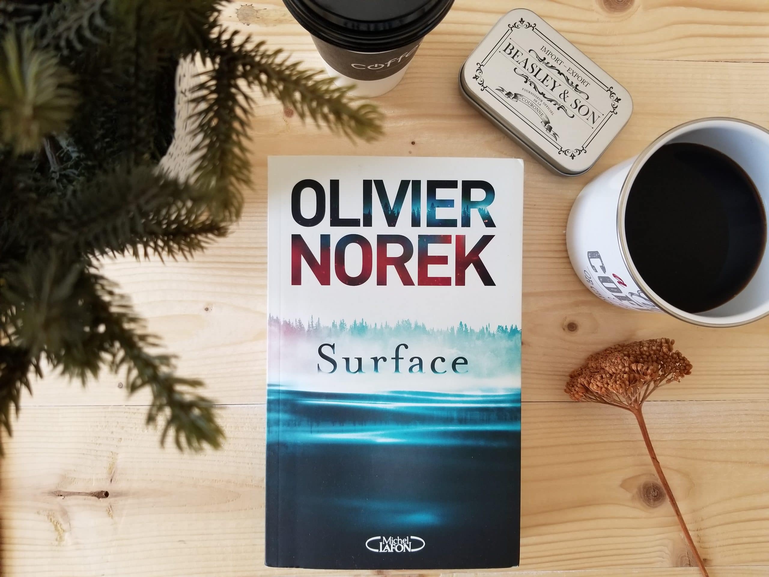 Norek Olivier - Surface - Blog littéraire Emma Perié