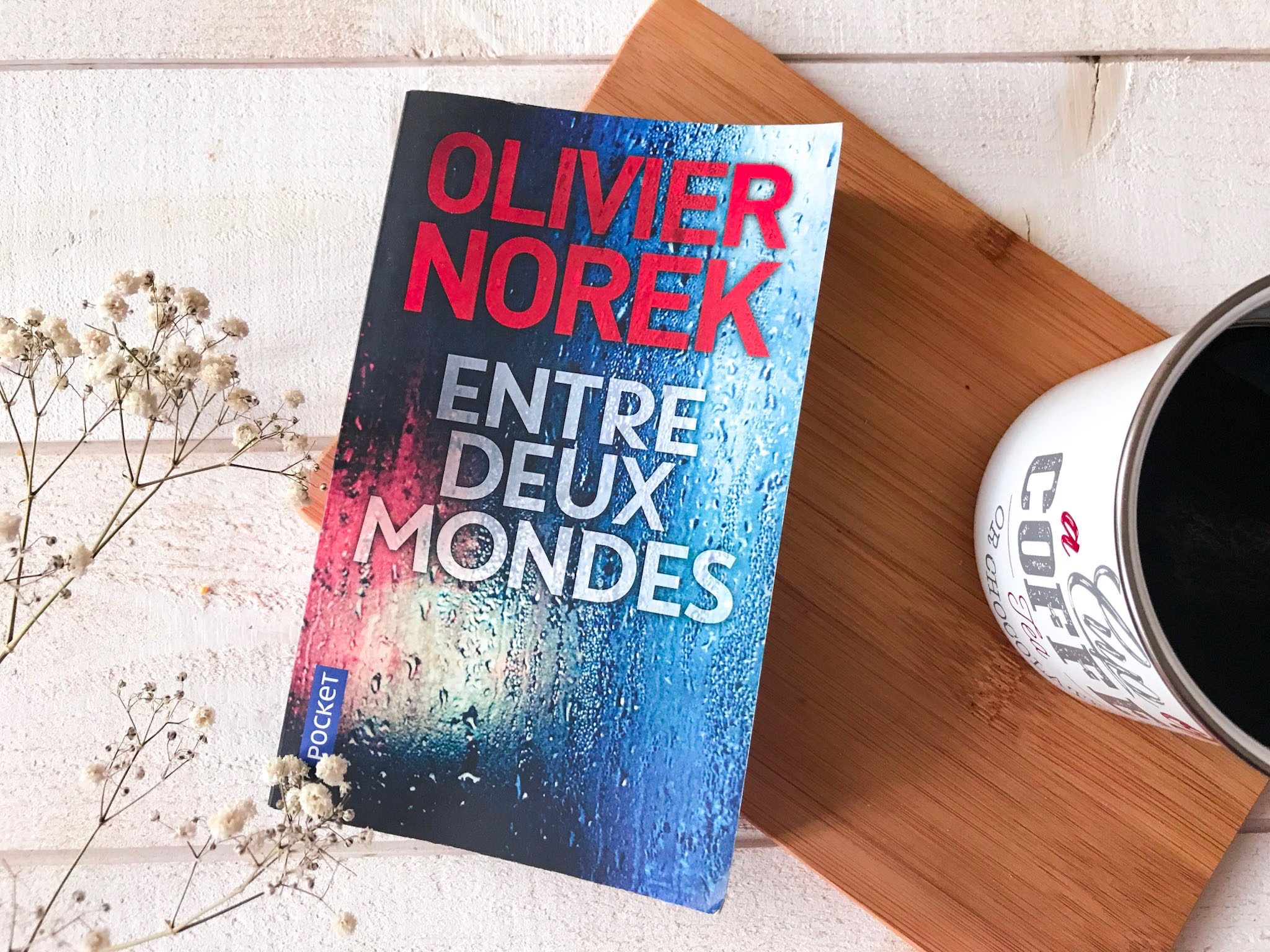 Le livre "Entre deux mondes" d'Olivier Norek, posé sur une planche en bois