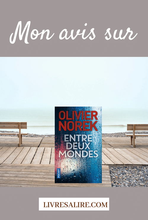 Olivier Norek - Entre deux mondes Photo mettant en scène le roman de Olivier Norek "Entre deux mondes" sur le bord d'une mer grise.