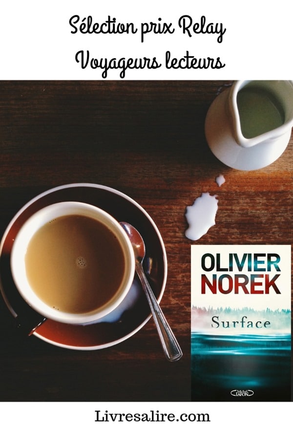 Surface - Olivier Norek - blog littéraire Surface - Olivier Norek - blog littéraire