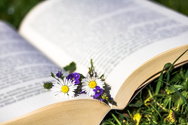 Livres pour être plus écolo - blog littéraire - zéro déchets