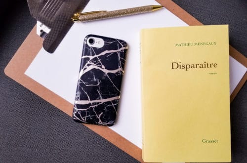 Mathieu-Menegaux-Disparaitre-blog-litteraire