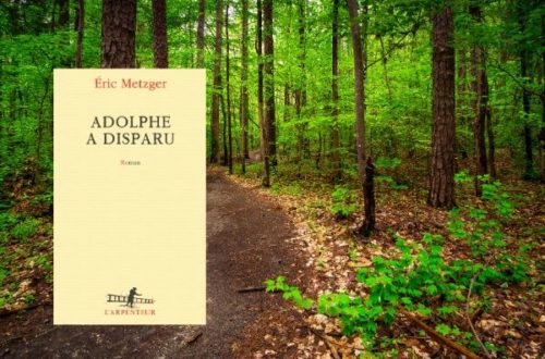 Adolphe-a-disparu-eric-Metzer-blog-littéraire.