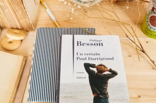 Blog litteraire Philippe besson - un certain Paul Darrigrand