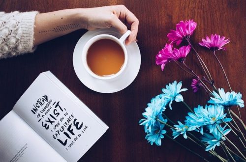 Blog litteraire emma perie