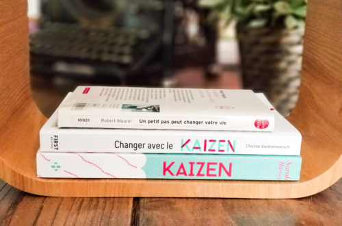 Livres-méthode - Kaizen