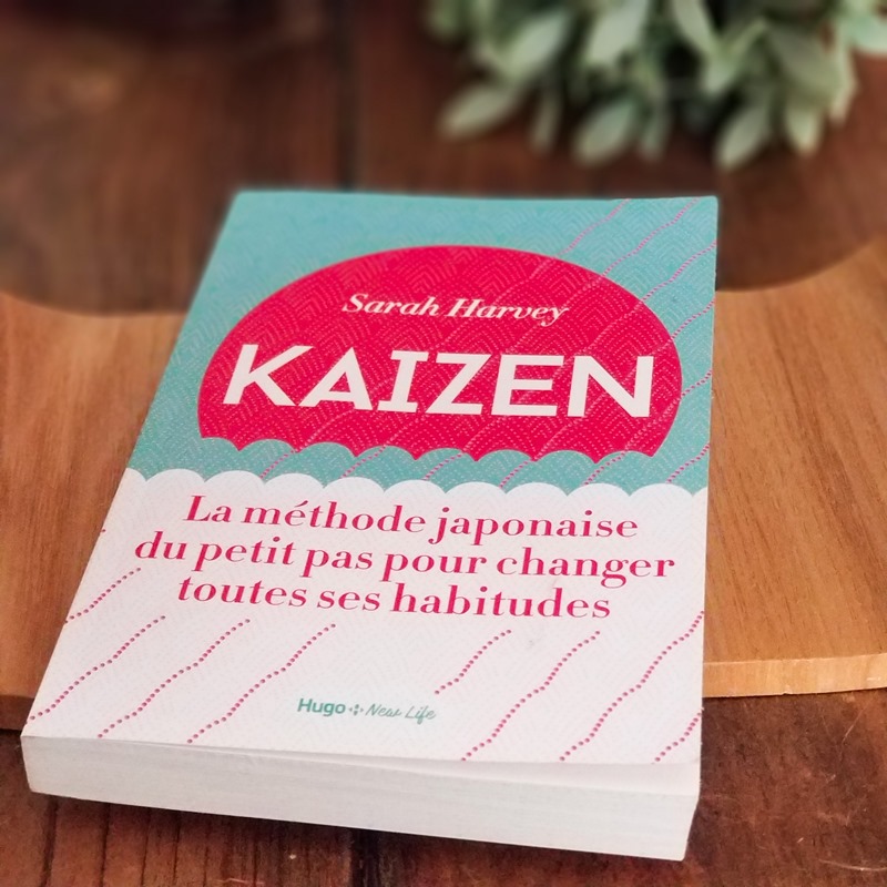 Sarah Harvey -Kaizen Livre de Sarah Harvey -Kaizen