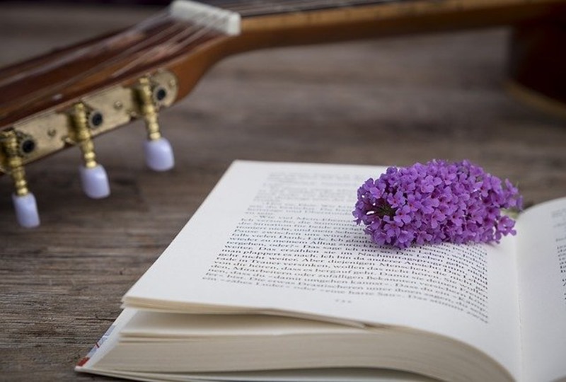 blog litteraire et pause digitale