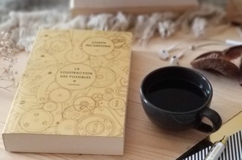 a soustraction des possibles - roman - Joseph Incardona