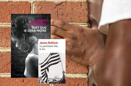 black lives matter-12 livres a lire