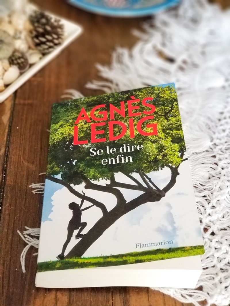 Agnès ledig - se le dire enfin Agnès ledig - se le dire enfin