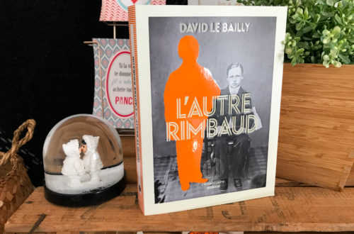 livre L’autre Rimbaud - David le Bailly