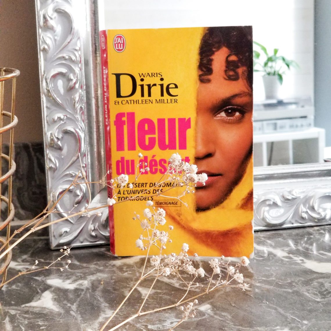 Fleur du désert - Waris Dirie livre