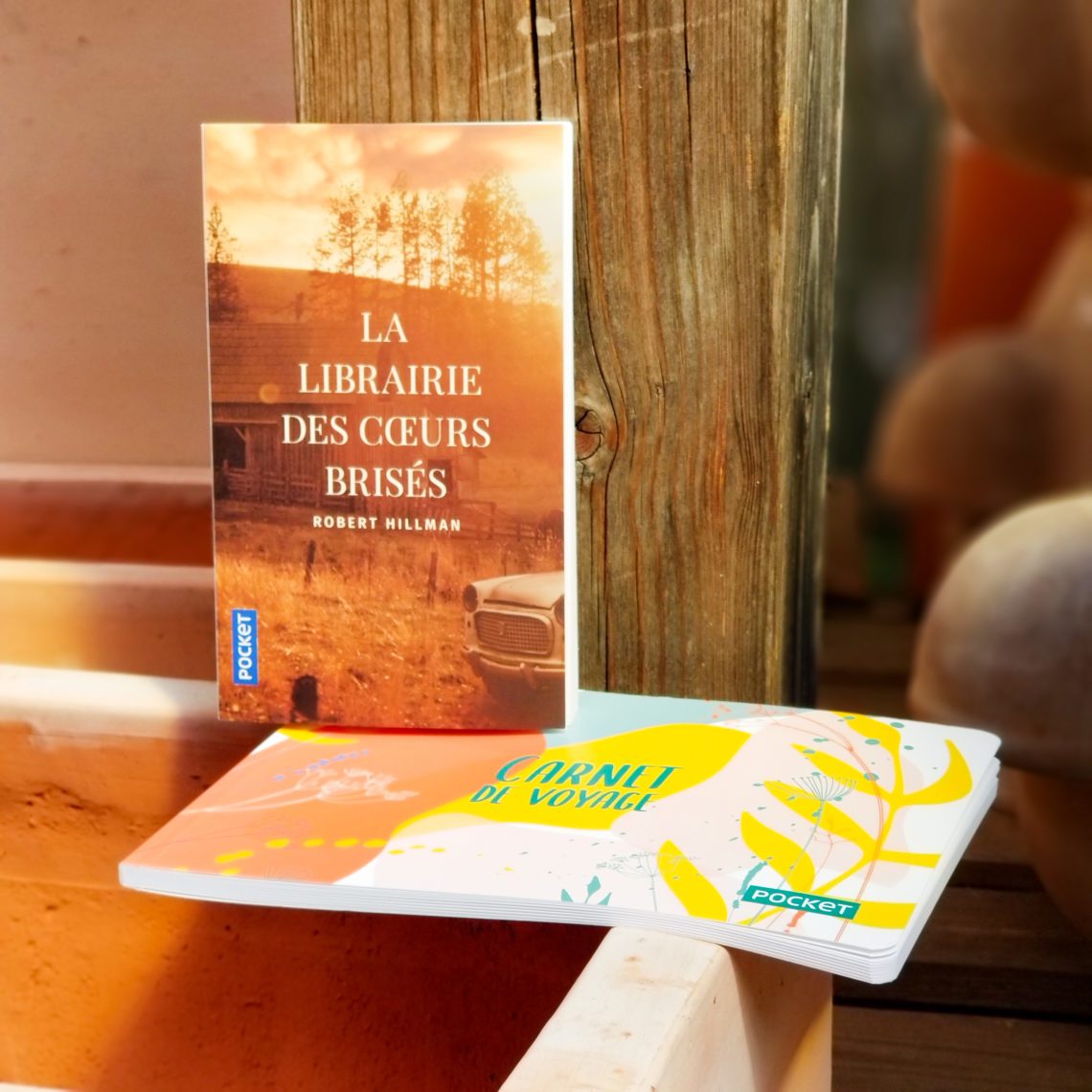 La librairie des cœurs brisés - Robert Hillman