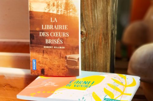 La librairie des cœurs brisés - Robert Hillman