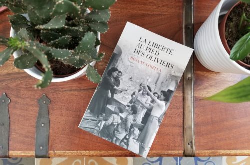 Rosa ventrella - la liberté au pied des oliviers