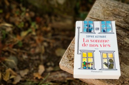 Sophie astrabie -la somme de nos vies