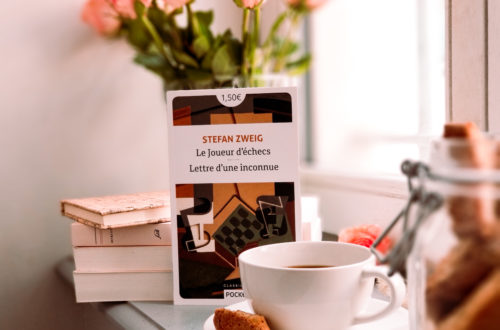 Stefan Zweig - le joueur d’échecs