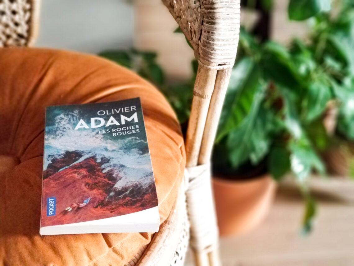 Les roches rouges -Olivier Adam
