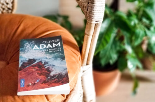 Les roches rouges -Olivier Adam