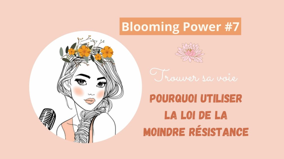 loi du moindre effort