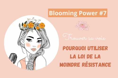 loi du moindre effort