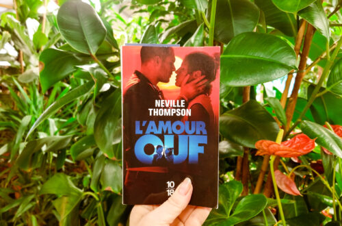 Découvrez le livre qui a inspiré le film "L'amour ouf"