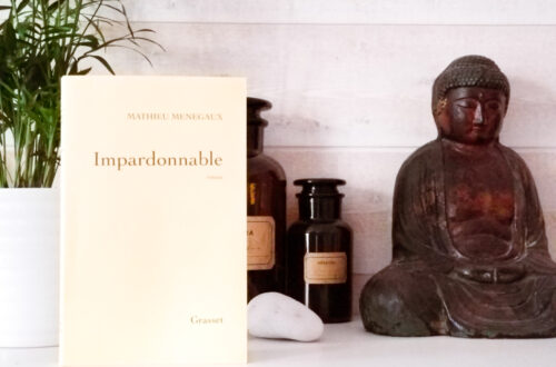 Chronique sur le livre "Impardonnable" de Mathieu Menegaux