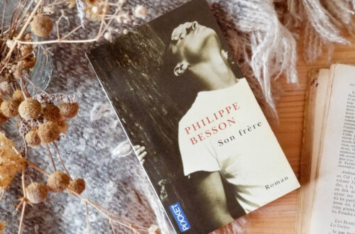 Livre "Son Frère" de Philippe Besson posé sur une table en bois avec plaid et plantes sèches