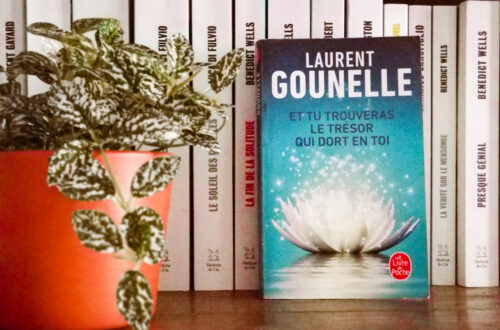 Livre posé dans une bibliothèque - il s'agit de "et tu trouveras le trésor qui dort en toi" de Laurent Gounelle