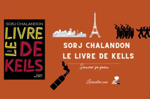 Illustration pour présenter le livre de Kells de Sorj Chalandon