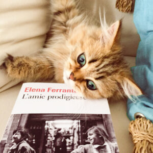 Myrtille et "l'amie prodigieuse" de Elena Ferrante Myrtille mon chaton avec le livre d'Elena Ferrante l'amie prodigieuse