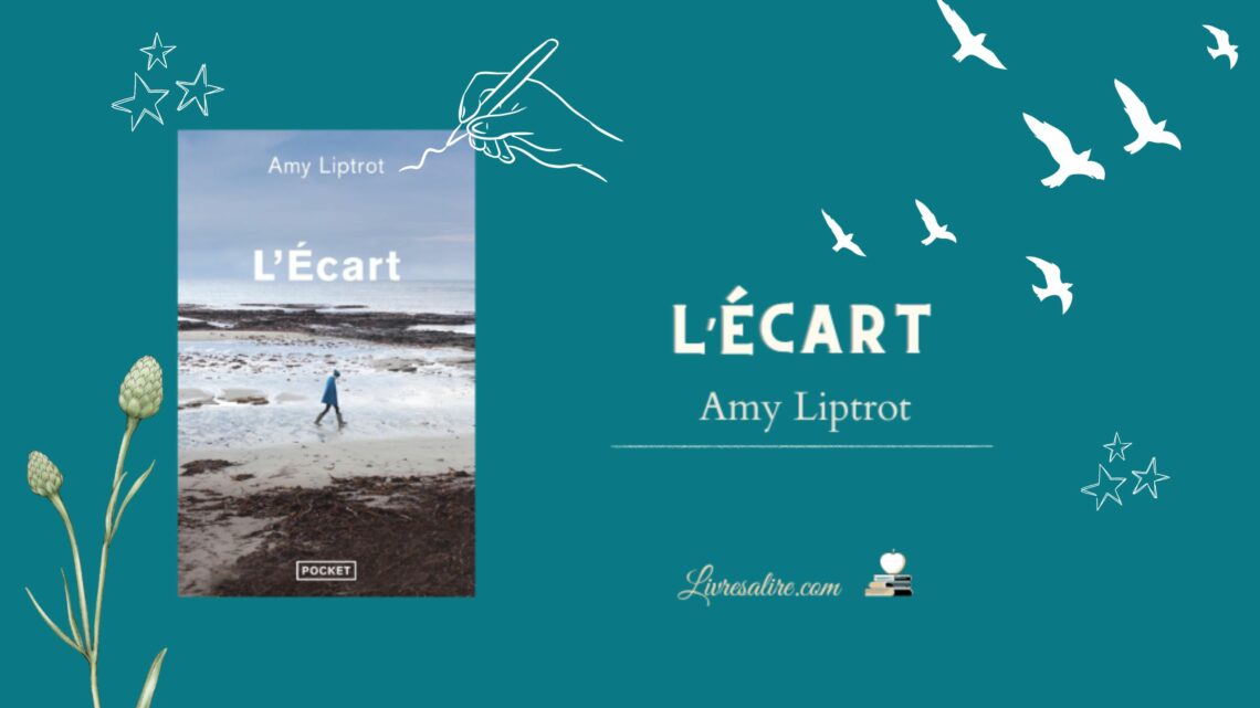 Illustration pour présenter le livre d'Amy Liptrot "L'écart"