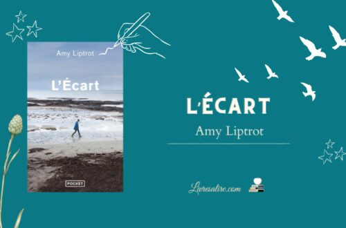 Illustration pour présenter le livre d'Amy Liptrot "L'écart"