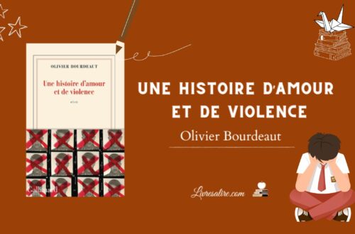 Illustration pour présenter le livre d'Olivier Bourdeaut "Une histoire d'amour et de violence"